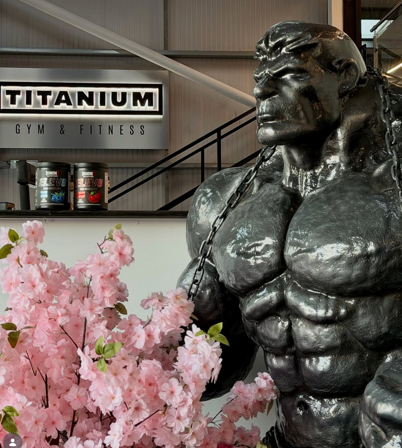 Titanium Gym